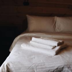 Фото Парк-Отель Березка