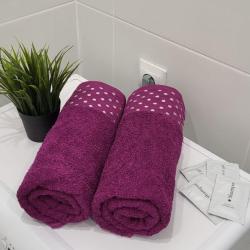 2-комнатные апартаменты улучшенные с 1 двуспальной кроватью