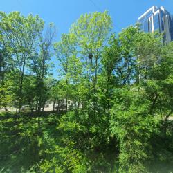 Фото Апартаменты на улице Красного знамени 47