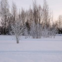 Фото Отель Ильмень
