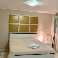 Номер люкс с 1 двуспальной кроватью (5)