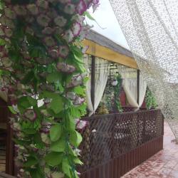 Фото Отель Алмаз