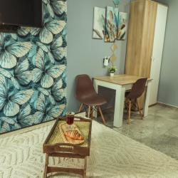 1-комнатные апартаменты студия