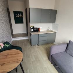 1-комнатные апартаменты стандарт г. Тюмень Пермякова, 43А