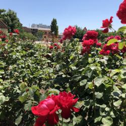 Фото Отель Город-Ок!