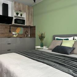 1-комнатные апартаменты студия