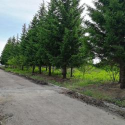 Фото Отель Антей