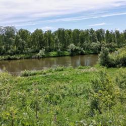 Фото Отель Кинтереп