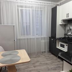 Фото Апартаменты на проспекте Курчатова 19