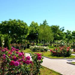 Фото Отель Сакрополь