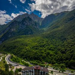 Фото Отель Forrest Terrace Hotel (Форрест Терасса)