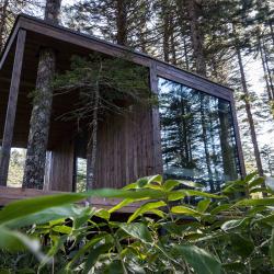 Фото Отель Kunashir Resort & Natural SPA (Кунашир Резорт и СПА)