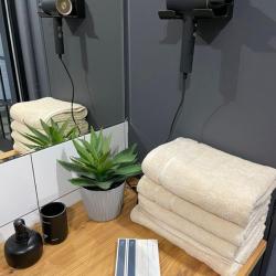 Фото Апартаменты на проспекте Мира 36