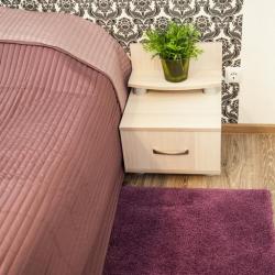 Фото Отель Лесная