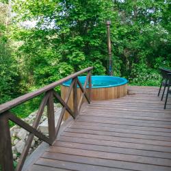 Дом с купелью с панорамными окнами и открытой террасой #5