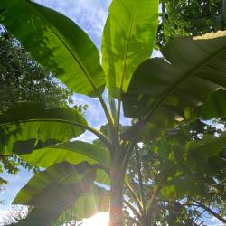 Фото Отель Шато Жюли