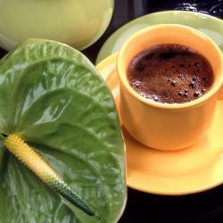 Фото Отель Гостевой дом НАТАЛИсити