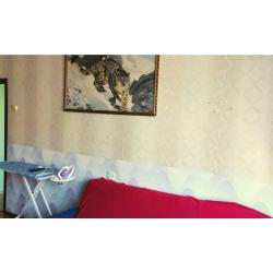 Фото Апартаменты на переулке Долотный