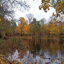 Фото Парк Отель