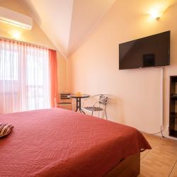 2-местный 1-комнатный номер улучшенный комфорт с 1 двуспальной кроватью