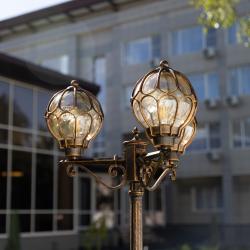 Белый Лотос — 37508d404a2b463ec3e80b2344db0b48