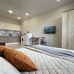 1-комнатные апартаменты студия Смолина 67/1-194  (студия)