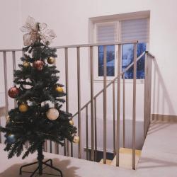 Фото Отель Белоснежный Дом