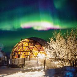 Фото Отель Aurora Village (Аврора Вилладж)