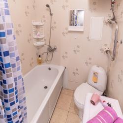 1-комнатные апартаменты студия № 260