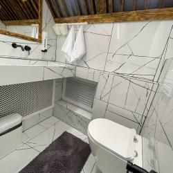 2-комнатные апартаменты люкс (мансарда)