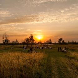 Фото Отель Усадьба Ольшаное