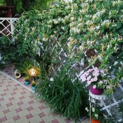 4-комнатный коттедж стандарт