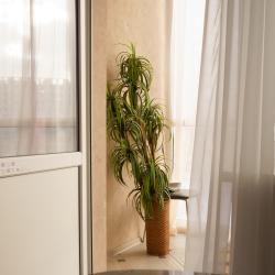1-комнатные апартаменты студия Right Room на Фомушина д.31
