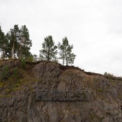 Фото Отель ForRest (Форест)