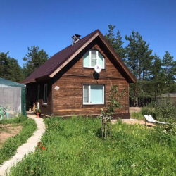 Фото Отель Сосновый бор