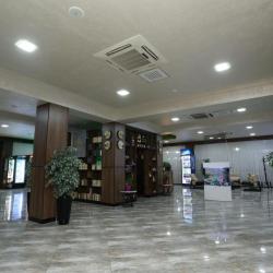Фото Отель Chinor Hotel (Чинор)