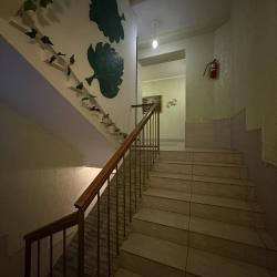 Русский лес — 37ffca05ca7e22c20ee0fce1ea943d9e