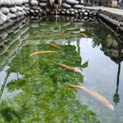 Фото Отель Медовые водопады