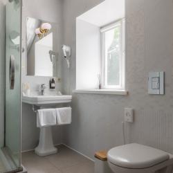 2-комнатный номер люкс с 1 двуспальной кроватью (мансарда) № 5