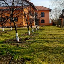 Фото Отель Villa boutique Hotel (Вилла бутик)