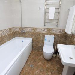 Фото Отель Ayniy (Aйний)