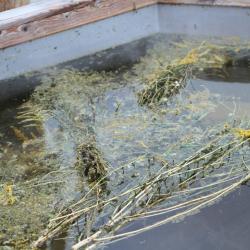 Фото Отель Золото Алтая