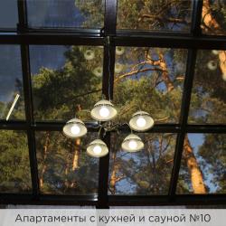 Двухуровневые апартаменты №10 с сауной
