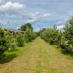 Фото Отель Тутань