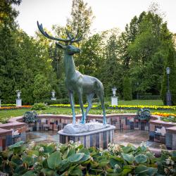 Фото Отель Морозовка