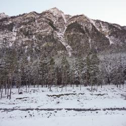 Фото Отель Альпина Хаус