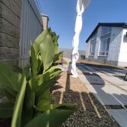 Фото Отель Коттедж Скандинавия Анапа