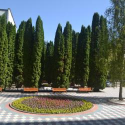 фото 37 Родник