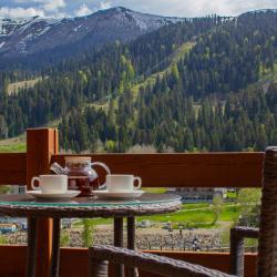 Коттедж премиум