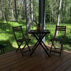 Дом с видом на лес гостиная со спальней (40 кв.м)